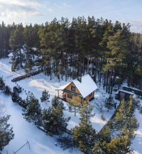 Leśna 21 Dom Południe przy PUSZCZA BIAŁOWIESKA